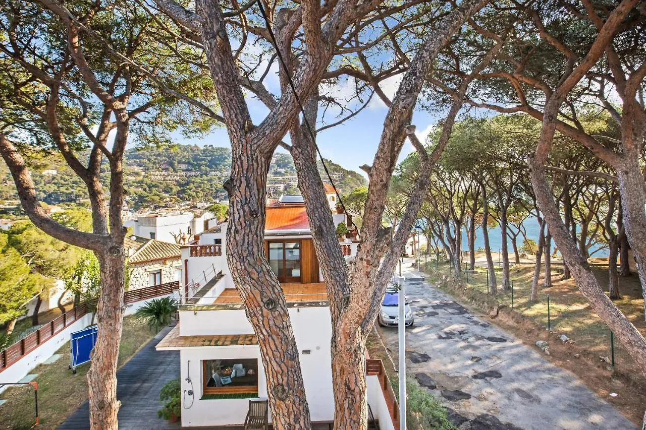 Anc 07 - Llafranc Apartment Spain